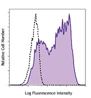 Purified anti-CD209/CD299 (DC-SIGN/L-SIGN) Antibody (845002)