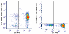 Purified anti-human CD226 (DNAM-1) Antibody (387802)