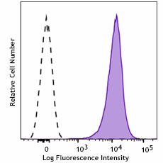Purified anti-mouse β2-microglobulin Antibody (168702)