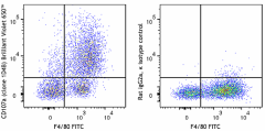 Brilliant Violet 650™ anti-mouse CD107a (LAMP-1) Antibody (121645)