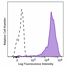 PE anti-human CD11b Recombinant Antibody (379903)