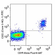 FITC anti-human CD22 Antibody (363507)