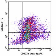 FITC anti-mouse CD206 (MMR) Antibody (141703)