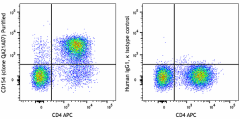 Purified anti-human CD154 (CD40L) Recombinant Antibody (388302)
