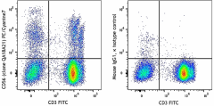 PE/Cyanine7 anti-human CD56 (NCAM) Recombinant Antibody (398808)