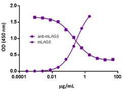 GoInVivo™ Purified anti-mouse CD223 (LAG-3) Antibody (125216)