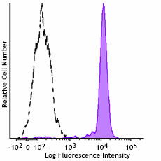 GMP PE anti-human CD33 Antibody (260192)