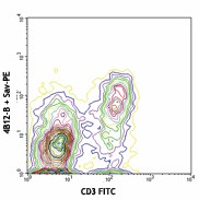 Biotin anti-mouse CD197 (CCR7) Antibody (120103)