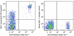 PE/Cyanine7 anti-human CD21 Antibody (354911)