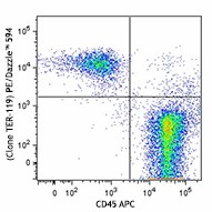 PE/Dazzle™ 594 anti-mouse TER-119/Erythroid Cells Antibody (116243)