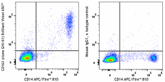 Brilliant Violet 650™ anti-human CD163 Antibody (333647)
