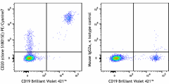 PE/Cyanine7 anti-human CD20 Antibody (375517)