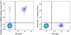 Brilliant Violet 421™ anti-human CD32B/C Antibody (398325)