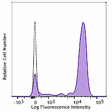 PE anti-human CD64 Antibody (399503)