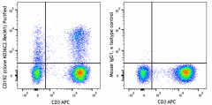 Purified anti-human CD192 (CCR2) Recombinant Antibody (357223)