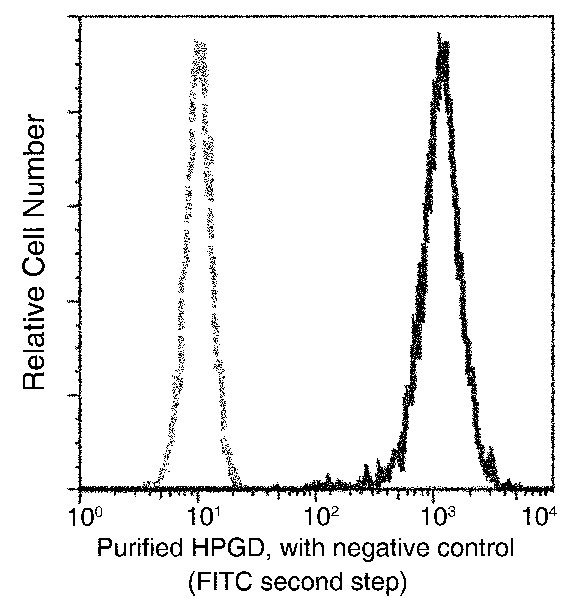 Recombinant HPGD/15-PGDH Monoclonal Antibody (AN300028P)