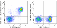 Brilliant Violet 421™ anti-mouse CD40 Antibody (124641)