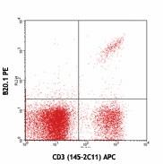 PE anti-mouse TCR Vα2 Antibody (127807)