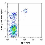APC anti-human CD185 (CXCR5) Antibody (356907)