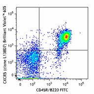 Brilliant Violet 605™ anti-mouse CD185 (CXCR5) Antibody (145513)