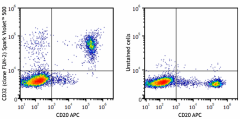 Spark Violet™ 500 anti-human CD32 Antibody (303233)