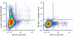 APC anti-mouse Ly-6A/E (Sca-1) Recombinant Antibody (163805)
