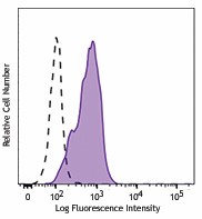 Brilliant Violet 510™ anti-mouse CD16.2 (FcγRIV) Antibody (149531)