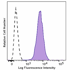 PE anti-mouse Integrin αVβ6 Antibody (166305)