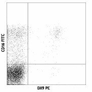PE anti-human CD158e1 (KIR3DL1, NKB1) Antibody (312707)