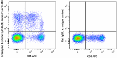 Alexa Fluor® 488 anti-human/mouse Granzyme B Recombinant Antibody (396423)