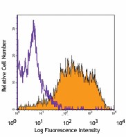 FITC anti-mouse CD146 Antibody (134705)