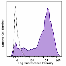 PE/Cyanine7 anti-human CD82 Antibody (342109)