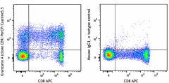 PerCP/Cyanine5.5 anti-human Granzyme A Antibody (507215)