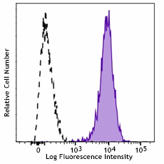 PerCP/Cyanine5.5 anti-mouse CD70 Antibody (104613)