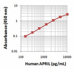 Biotin anti-human APRIL (TNFSF13, CD256) Antibody (524903)