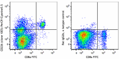 PerCP/Cyanine5.5 anti-mouse CD226 (DNAM-1) Antibody (128813)