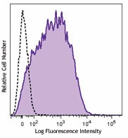Brilliant Violet 650™ anti-mouse CD80 Antibody (104731)