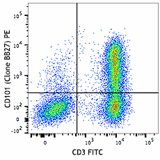 PE anti-human CD101 (BB27) Antibody (331011)