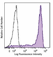 Brilliant Violet 510™ anti-mouse Ly-6G Antibody (127633)