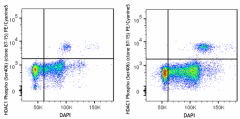 PE/Cyanine5 anti-HDAC1 Phospho (Ser406) Antibody (611007)