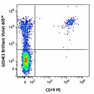 Brilliant Violet 605™ anti-human CD196 (CCR6) Antibody (353419)
