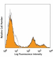 Pacific Blue™ anti-mouse Ly-6C Antibody (128013)
