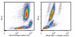 Brilliant Violet 510™ anti-human CD147 Antibody (306227)