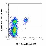 Alexa Fluor® 647 anti-human CD196 (CCR6) Antibody (353403)