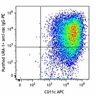 Purified anti-mouse CD301b (MGL2) Antibody (146802)