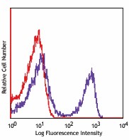 PE anti-mouse CD90.2 (Thy1.2) Antibody (140307)