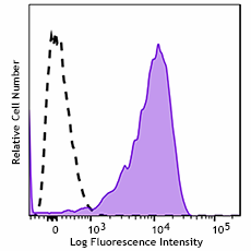 GMP PE anti-human CD58 Antibody (260554)