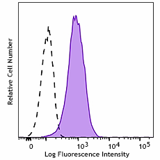 Brilliant Violet 605™ anti-human CD269 (BCMA) Antibody (357537)