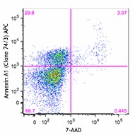 APC anti-Annexin A1 (831603)