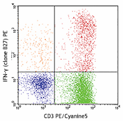 PE anti-human IFN-γ Antibody (506506)